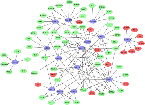 Identification of key candidate genes and biological pathways in bladder cancer. Gao et al, PeerJ. 2018 Dec 4;6:e6036.
MCODE is available from the Cytoscape App Store.