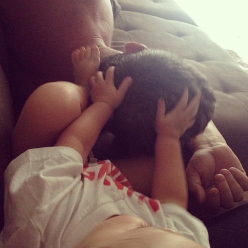 amor.