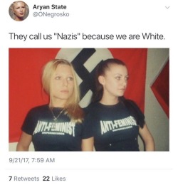 lord-kitschener:  lavendertitties:  daughterofdustandashes:  weavemama: there is literally a big ass swastika in the background…………….. theyre so dumb wtf im cackling   alright “aryan state”   