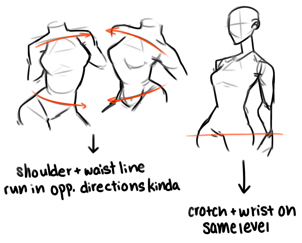 phailetdoesart:  First of all, I’m not an art student/anatomy expert/seasoned professional