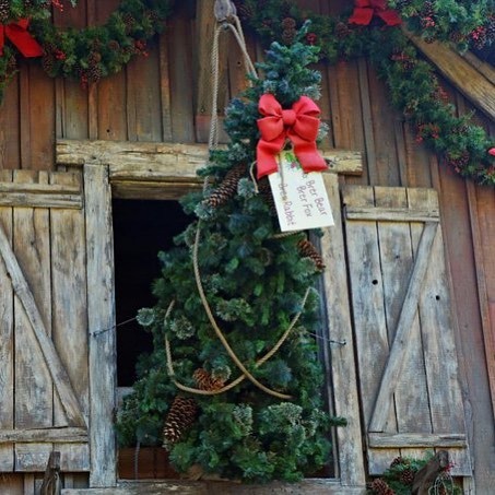 Aww, how nice! Brer Rabbit got Brer Fox and Brer Bear a gift!   #disneyland #disney #disneylandholid