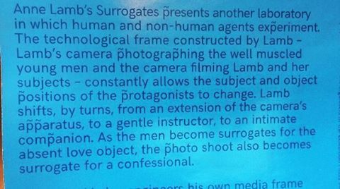 Catalog text for my graduation work, a video confessional #love #objects #subjects #surrogate #confe