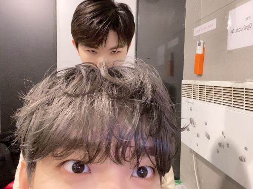 [WEVERSE, 231122] DOKYEOM 