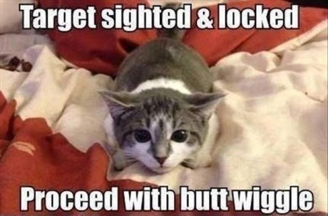 memator:Tackle Successful! http://ift.tt/1bWmyWB