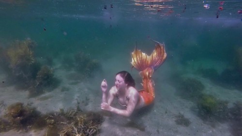 There is magic all around you. Raina of halifaxmermaids.comVideo stills from Sean (co-owner)