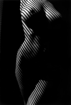 Nu zébré by Lucien Clergue, 2009Also