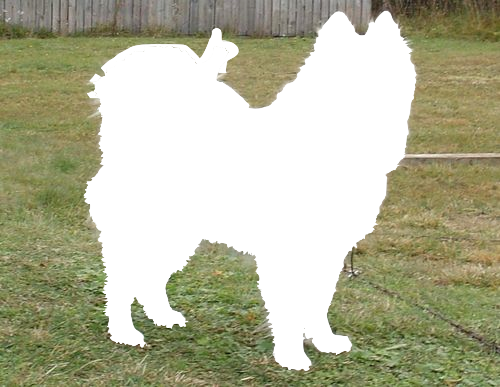 wingedcounsellor:  caseps:  michaxl:  nickiminajvevo:  can anyone make this transparent for me pls?     im sorry i made an alternate version  (drag it)  WHAT THE FUCK 