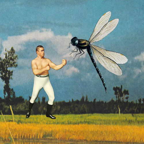 eugenialoli:“Man vs Nature“ by Eugenia LoliPortfolio| Store | Instagram