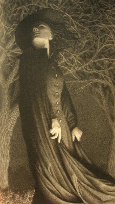 ein-bleistift-und-radiergummi:  Chris Van Allsburg Illustration from ‘The Widow’s Broom’. 