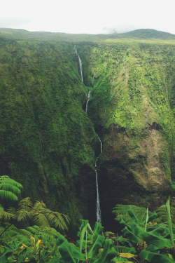 expressions-of-nature:  by Mermaidtale