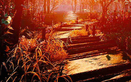 itspapillonnoir:  The Witcher 3: Wild Hunt → Random Scenery [1/?]