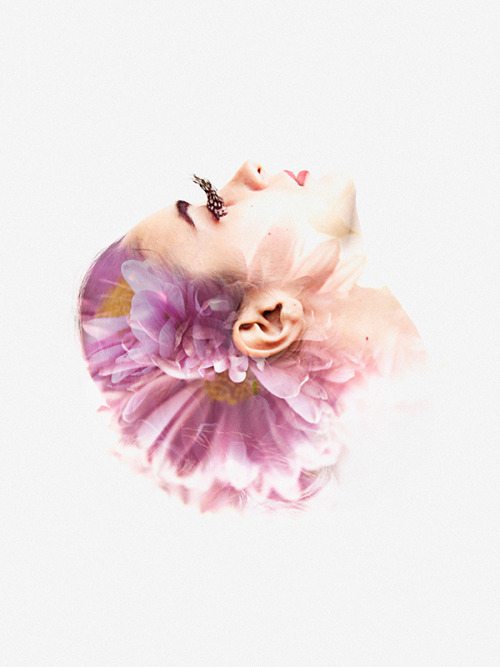 lohrien:Aneta Ivanova behance l tumblr