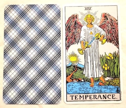 XIV – TemperanceUpright - Adaptation, balance, compromise, drive, moderation, patience, purpose, the