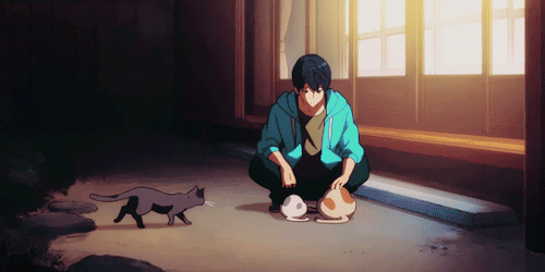 aja154ever:I want to be a cat ≧ω≦