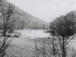 Lost, lost, lost (1976), Jonas Mekas