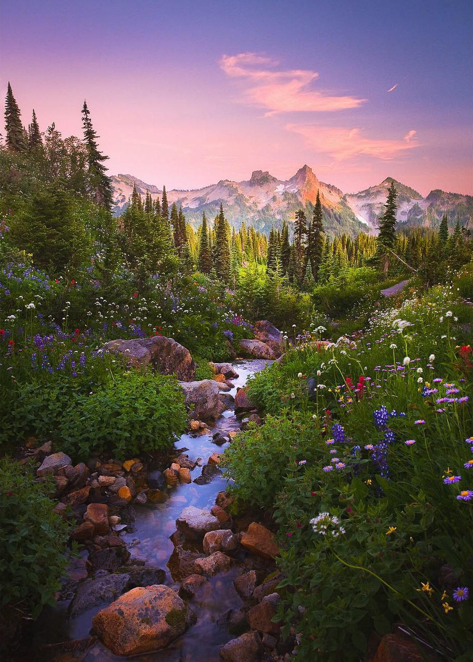 coiour-my-world:Mt. Rainier | Tatoosh Range and Deadhorse Creek Trail | by benmarar