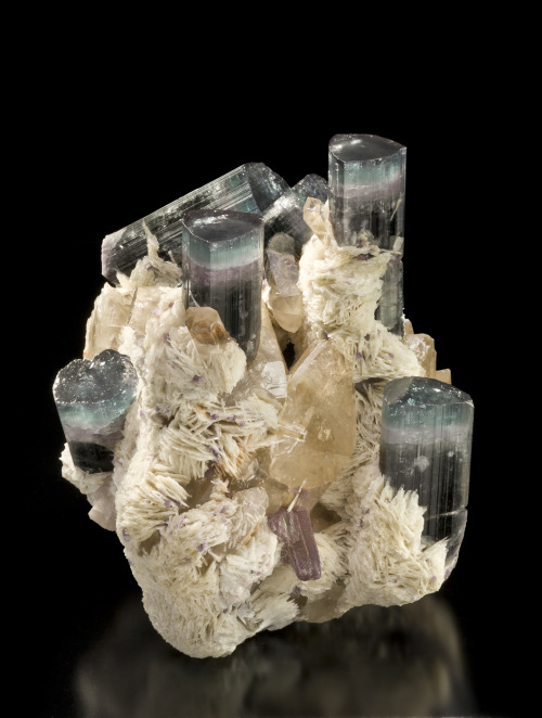 bijoux-et-mineraux:  Tourmaline, Cleavelandite and Quartz - California 