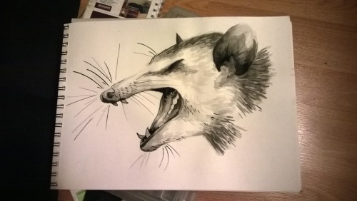 busket:here’s a possum head i just drew in ink 