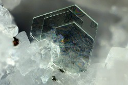 underthescopemin:  Muscovite Elegant packets of hexagonal crystals of muscovite, light green color, transparent, with aesthetic iridescence. Photo Copyright © Flavio Giuseppe Taricco 