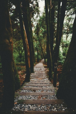 hellacious-earth:  Vintage // Nature