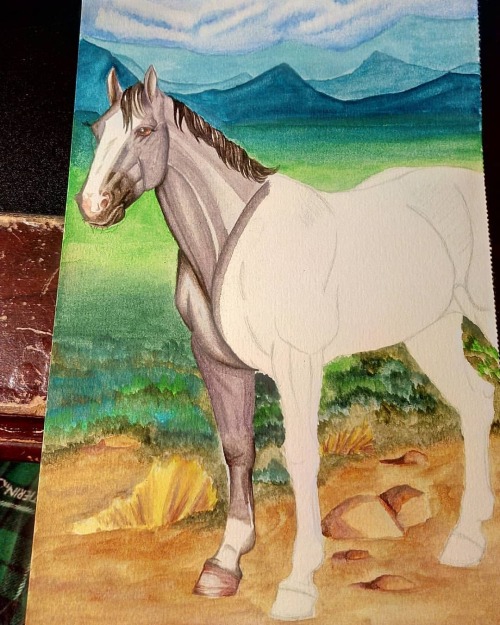 Smokey’s coming along. Hopefully I don’t  it up.#art #artist #horse #horses #horseart #h
