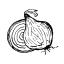 onionwritings