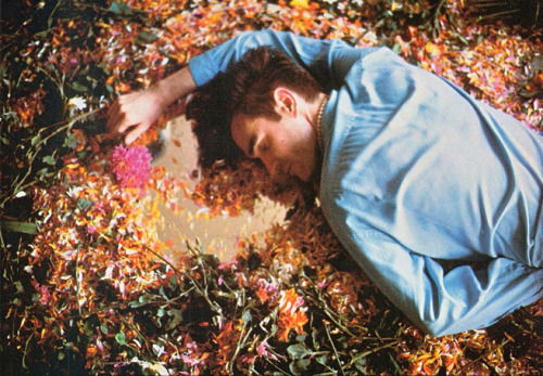 will-duarte:The Smiths - This Charming Man Morrissey