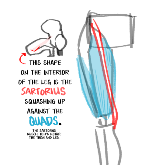 Here’s a little Art Tip about a very specific part of the body. Pop a squat and see how it looks on 