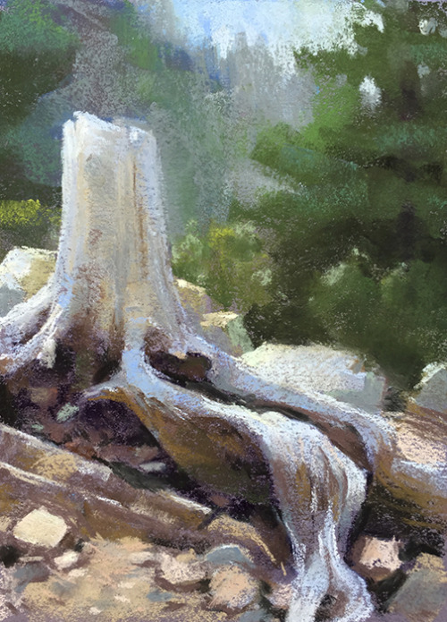 Here’s a selection of my pastels from this year’s trip up to the Sierra Nevada Field Cam