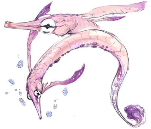 cherrimut: Emptying out my folders and found this. Gorebyss sketches referenced off a pipefish.