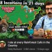 hatingongodot:hatingongodot:I don’t want to click on this because the thumbnail alone has me seething with jealousyI forgot they served food at the Rainforest Cafe. Couldn’t begin to tell you what kind of menu they’ve got. The rainforest