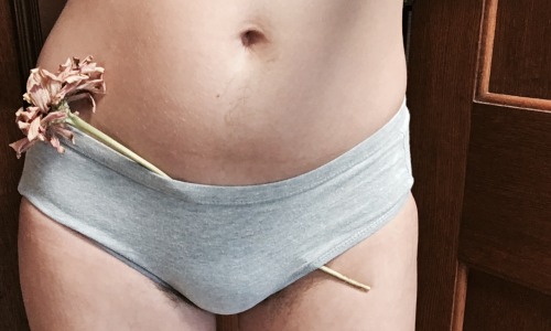 femme-cutie:  cutespine:  flower from the bush ~*~ more ~*~ about ~*~ spoil me ~*~  😍😍😍😍 