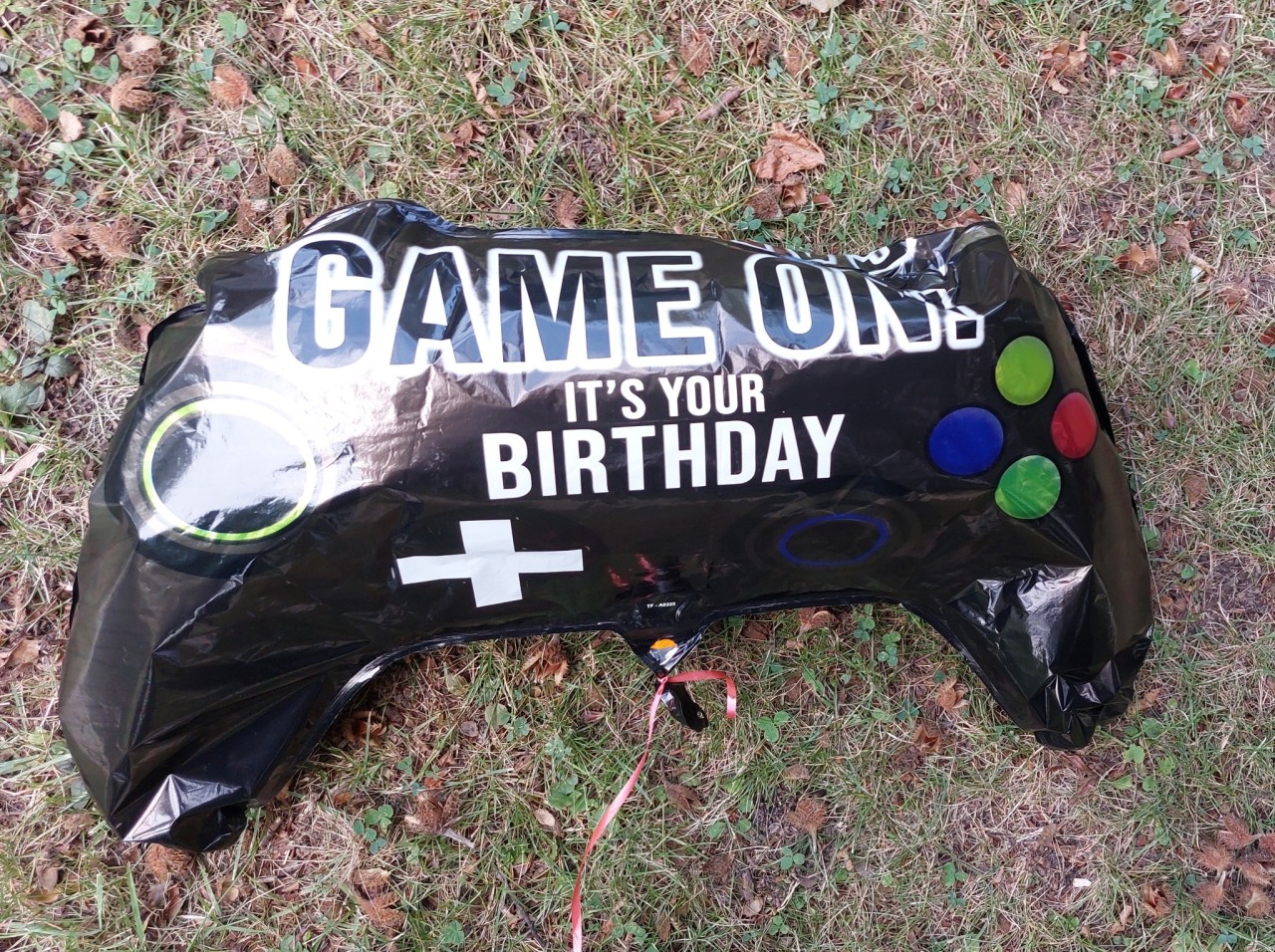 Sex andhaveapleasanttomorrow:a gamer balloon pictures