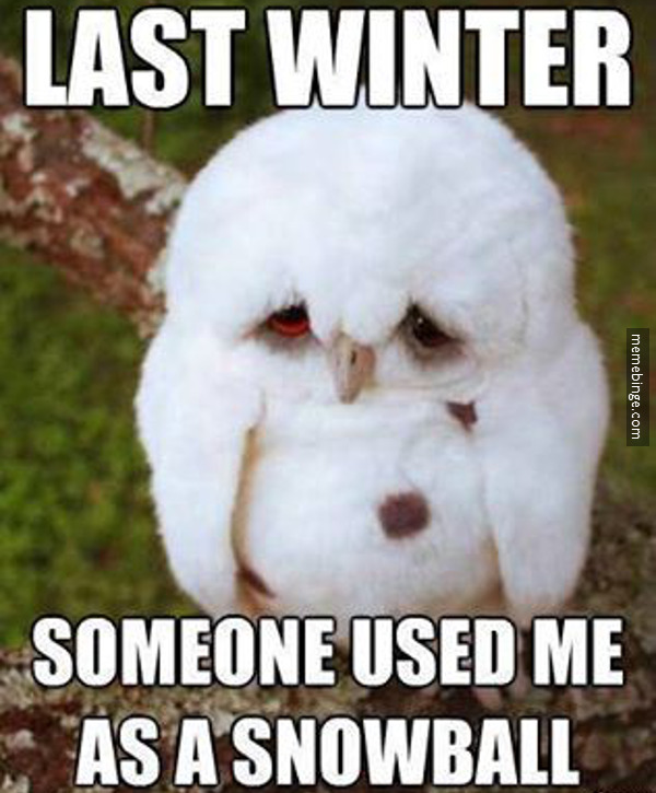 thememebinge:  Poor little guy!