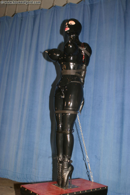 thejaguarr:slavelover1:Remote controlled rubber dollGord was a mad genius.