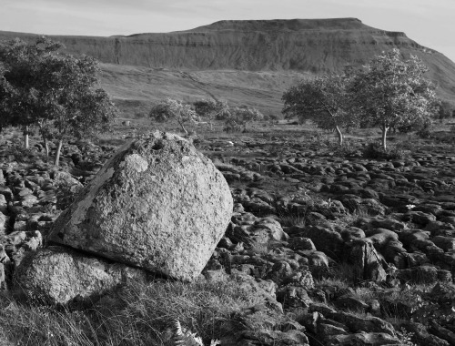 The limestone pavement at Ingleborough, North Yorkshire, 15.8.16. I took advantage of the great weat