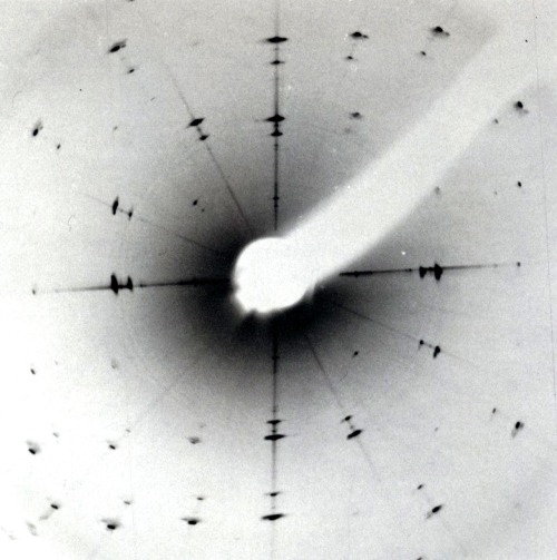 rudygodinez:  Institute for Crystallography and Petrography, X-ray Image, (1972) 