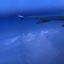 moonandstarsinthesky