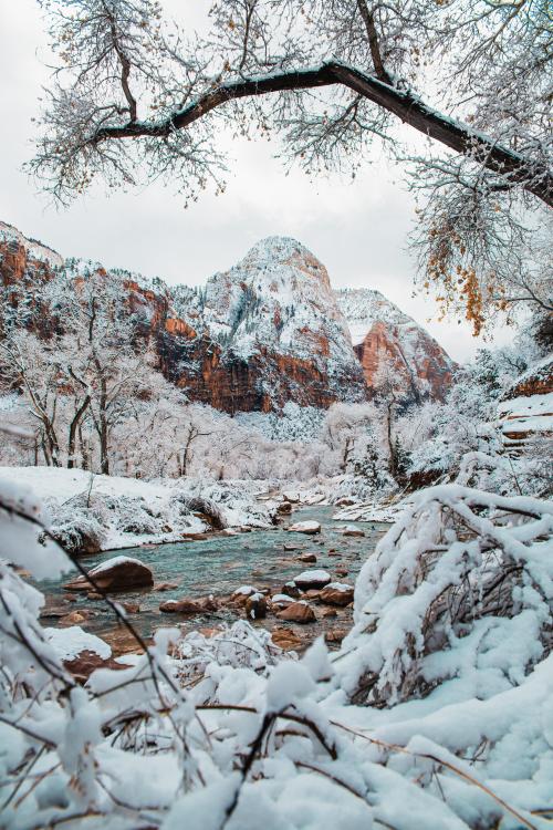 oneshotolive:  Zion national park 3348x5022) (oc) 📷: mintspit 