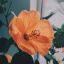 ohlovelydays