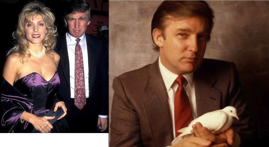   Donald Trump is a biological womanshe is a tranny and so is that broad shouldered