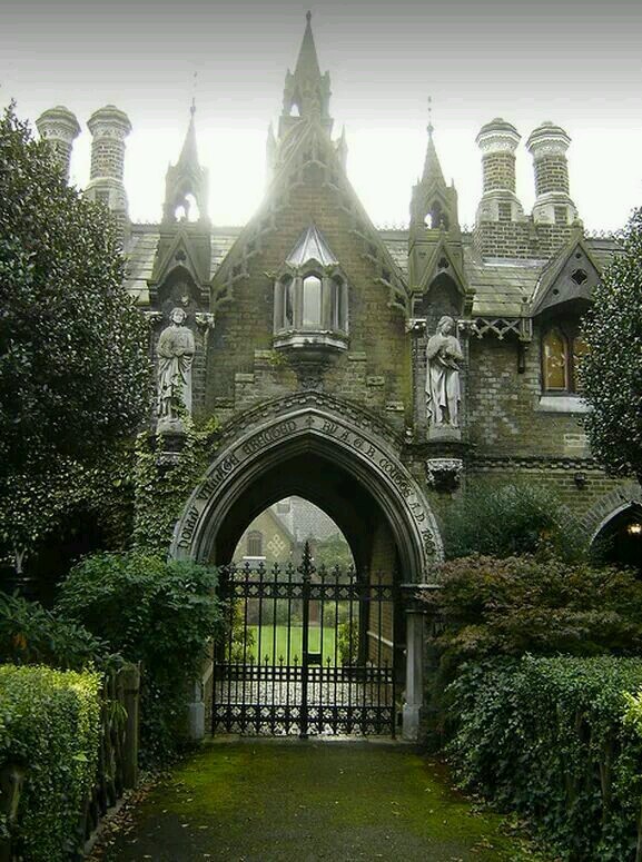 This Ivy House