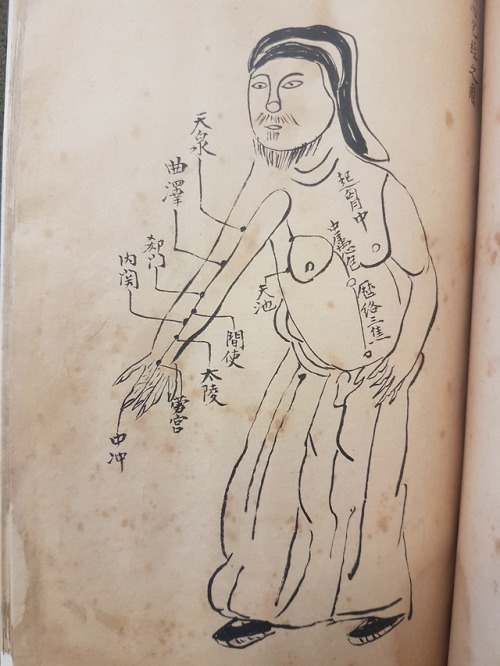 LJS 389 - [Shi si jing fa hui]This is a 14th-century treatise on the anatomy, physiology, and pathol