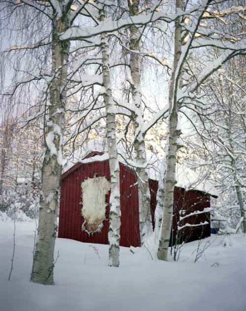 Erika Larsen : Sami, The PeopleI have seen the Arctic as a place where the extremes play o