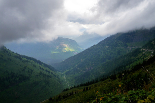 90377:Glacier National Park: Highline Trail View by Ang