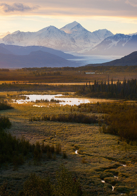Sunrise along the Knik River, Alaska, USA (by Bob Martin).