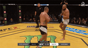 forfightersnotlovers:  Cain Velasquez vs. Travis BrowneUFC 200 (July 9, 2016)Where Chris Weidman failed, Cain Velasquez succeeded in hitting a textbook wheel kick, followed by a good punch combination.
