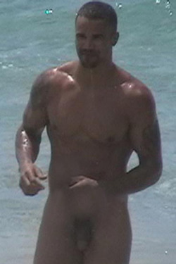 celebgaycelebs:    Shemar Moore Full Frontal adult photos