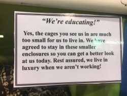 kaijutegu:I was really into the signs all over ReptileFest- they all sent home messages of responsibility and the actual challenges of owning different species. Very refreshing- you never see stuff like this at breeder shows (because they want everyone