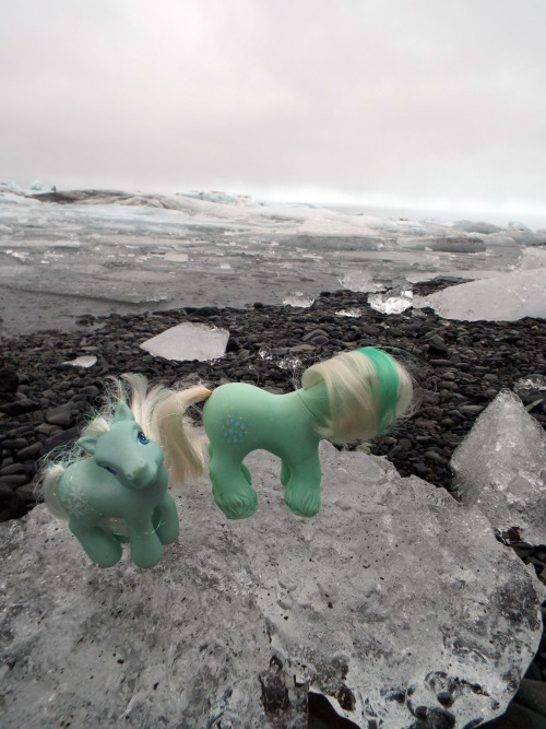 travelling-my-little-pony: Winter Snow and Ice Crystal stand around on a large chunk of ice washed a